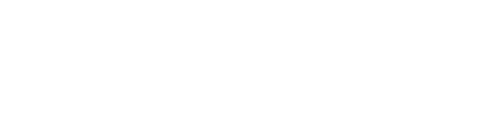 TechBullion