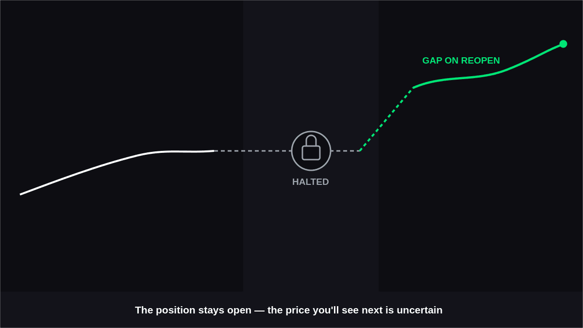How Do Trading Halts Affect Open Positions?