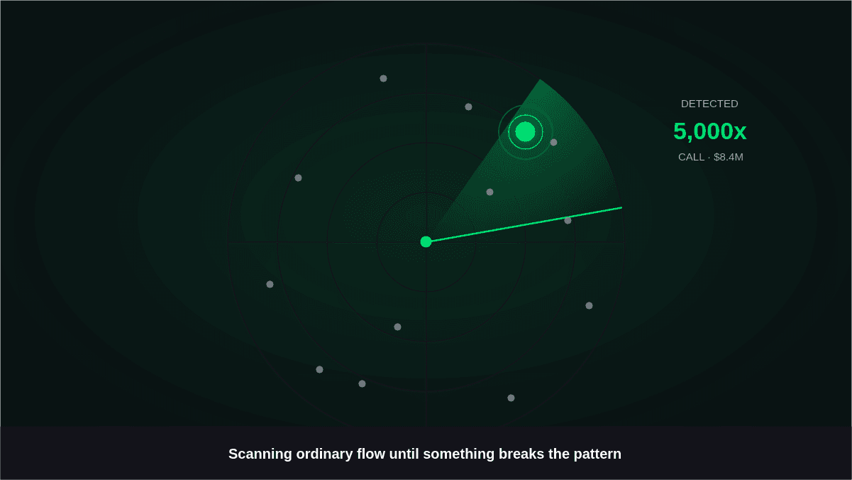 A Beginner's Guide On How to Read Options Flow