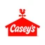 CASY logo