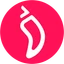 CHZ/USD logo