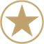 FNV logo