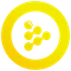 RLC/USD logo