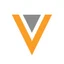 VEEV logo